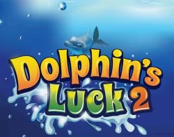 Dolphins Luck 2